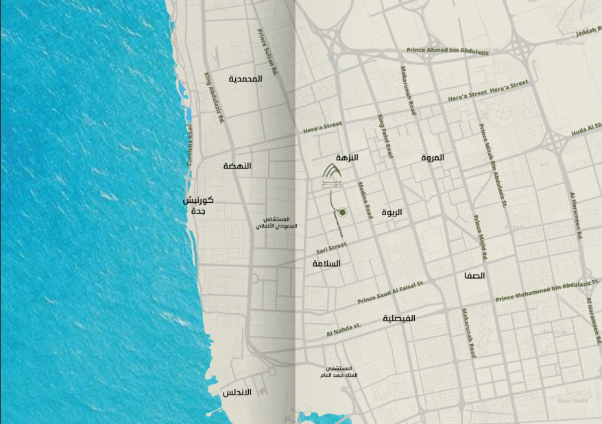 Released Image