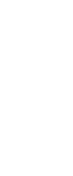 Lines Top